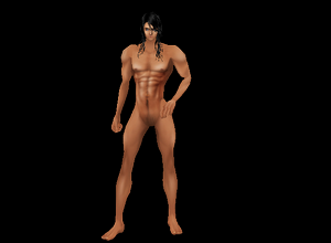 The Skin V3